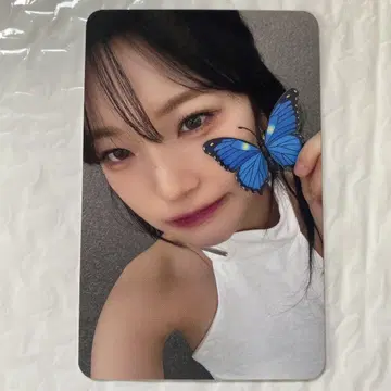 fromis_9 지헌 MAKESTAR 나비 ver. 트레이딩 카드