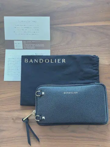 EXPANDED GOLD POUCH 익스팬디드 골드 파우치