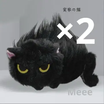 낯을 가리는 고양이 봉제 인형 친정 고양이 x 2