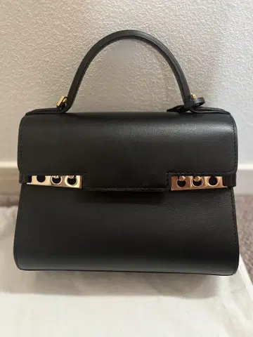 delvaux 탕페트 미니 골드 금장 장식, 서플 카프