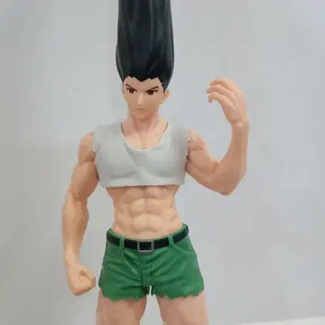 HUNTER x HUNTER 피그라이프 곤 피규어