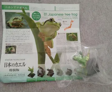 일본 개구리 특장판 일본청개구리