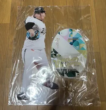 오릭스 버팔로즈 코로챌레 미야기 다이야 특대형 아크릴 스탠드