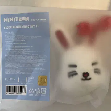 세븐틴 seventeen miniteen 에스쿱스 승철 키링