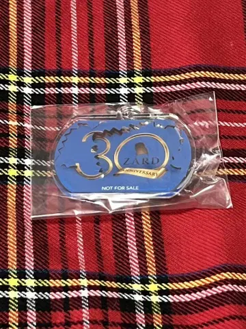 레어 ZARD 사카이 이즈미 30주년 키링