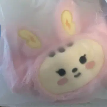 SEVENTEEN 정한 MINITEEN 팝업 파우치