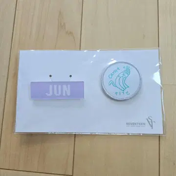 SEVENTEEN 세븐틴 준 네임 & 와펜 배지 세트