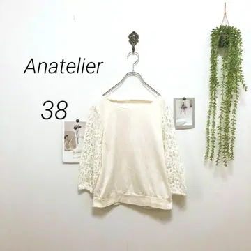 8614-1 아나텔리어 Anatelier 소매 레이스 티셔츠 무지