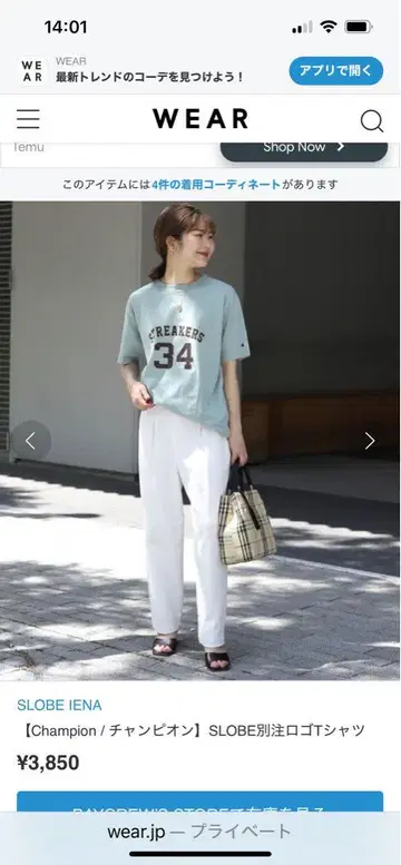 Champion / 챔피온 SLOBE 별주 로고 티셔츠 2022ss