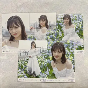 전 노기자카46 야마시타 미즈키 브로마이드 여기에 없는 것