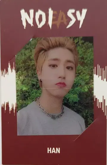 StrayKids 주얼 케이스 HAN NOEASY 빨간색 테두리