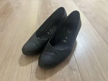 Gabor 펌프스