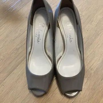 다이애나 아르테미스 오픈토 그레이지