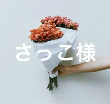 삿코 님