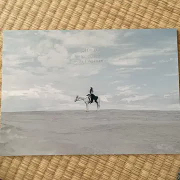 [새상품급] Aimer 'like a daydream' 팜플렛