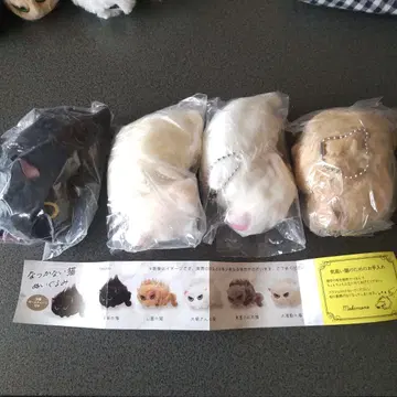 낯을 가리는 고양이 친정 고양이와 좋아하는 1마리