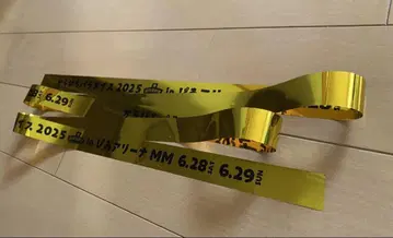 컬러풀피치 카라피치 파라다이스 2025 금 테이프