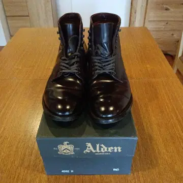 Alden 45602 H 다크 브라운 워크 부츠