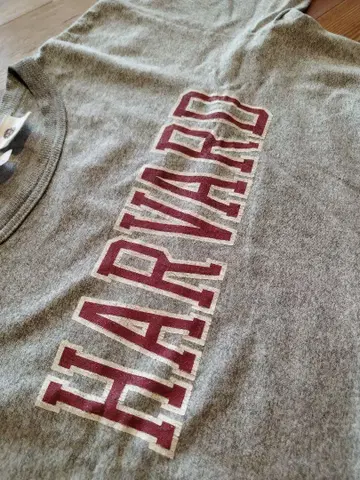 t1011 챔피온 HARVARD