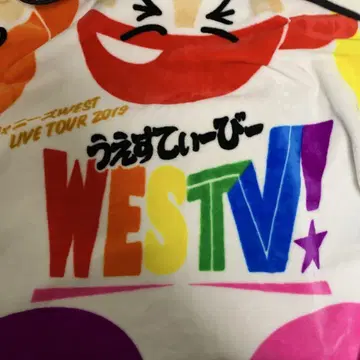 WEST. WESTV! 담요