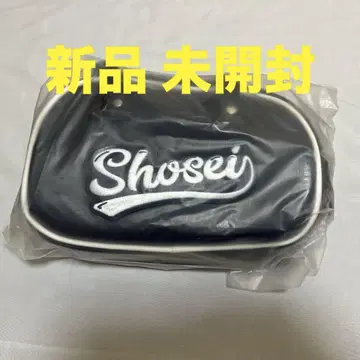 미니 보스턴 백 오히라 쇼세이