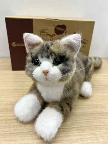 쓰담쓰담 고양이 EX 키지토라