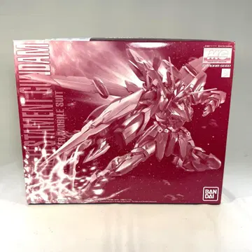MG 1/100 테스타먼트 건담 건프라