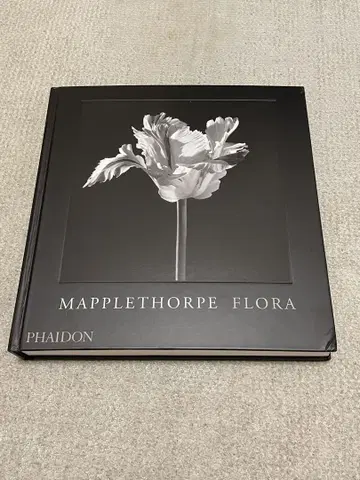 Robert Mapplethorpe / 로버트 메이플소프 꽃 외국도서