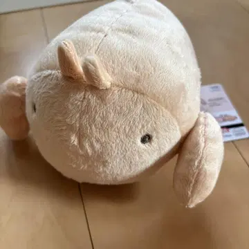 요코미조유리의 아무거나 생물 부들부들 봉제 인형 새우