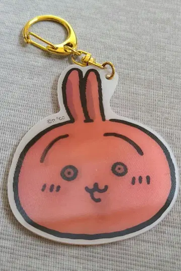 미사용 새상품 치이카와 외출이 기대되는 렌티큘러 아크릴 키링 토끼
