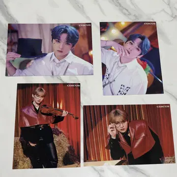 Stray Kids CIRCUS 랜트 트레카 리노