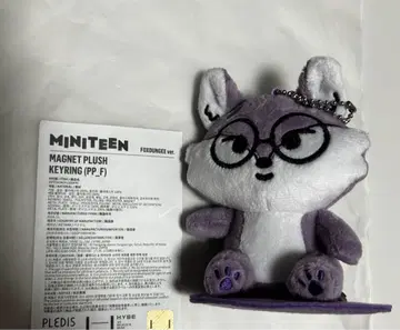 seventeen 원우 miniteen 마그넷 키링