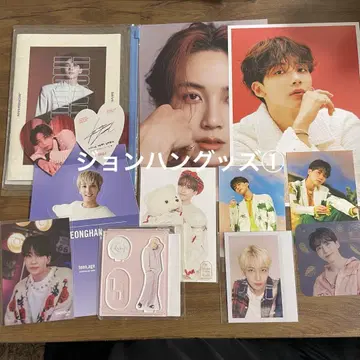SEVENTEEN 트레이딩 카드 굿즈 정한