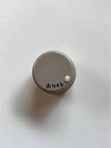 브라이스용 퍼티제 4g