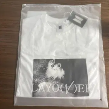 BTS V LAYOVER 티셔츠 연탄이