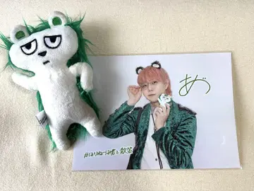 팬더드래곤 봉제 인형 고슴도치 아즈