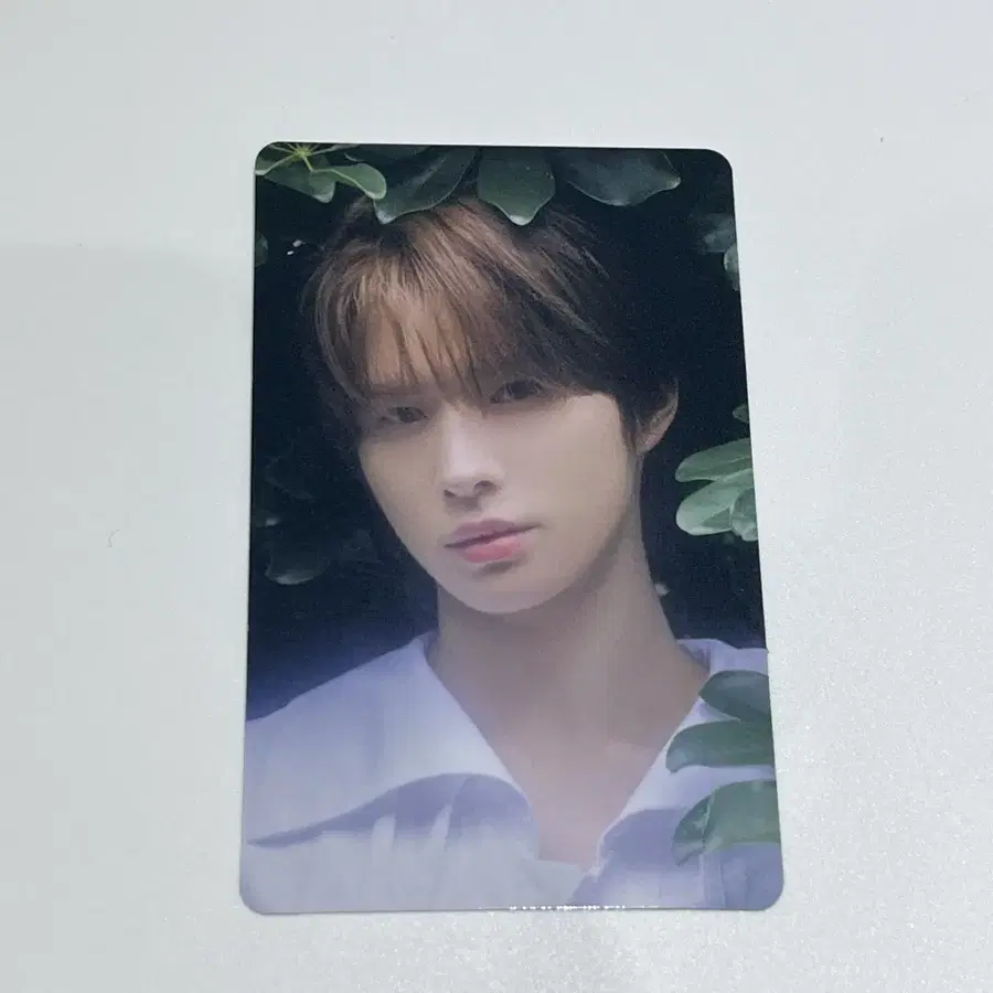 Product Details - 1