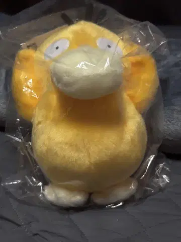 코닥 봉제 인형 No.0054 너로 정했다! 포켓몬 겟 봉제인형