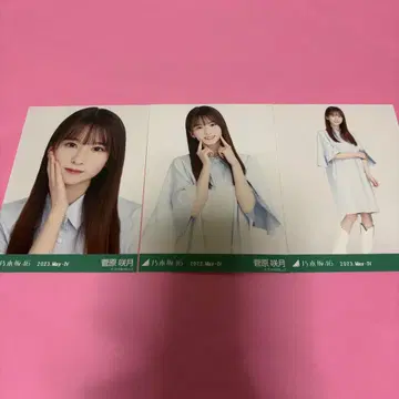 노기자카46 스가와라 사츠키 브로마이드 튜닉 컴프