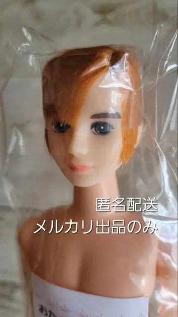 오타노시미 인형 레이프 제니 보이프렌드