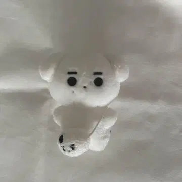 enhypen 성훈 봉제 인형