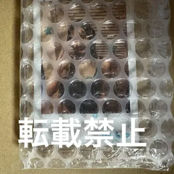 나나 세실 친필 사인 폴라로이드 당선품