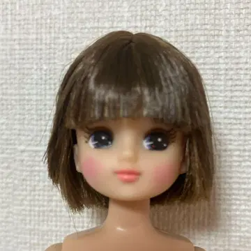 커스텀 리카짱 헤드 덤 바디 포함입니다.