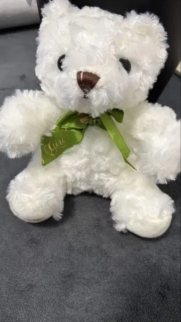 곰 봉제 인형