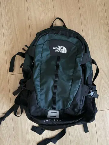 THE NORTH FACE 다크 그린 백팩