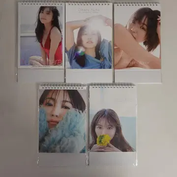 오오하라 유우노 탁상 달력 5년분 세트 2021-2025년 [미사용]