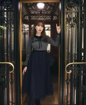 Her lip to Garnier Pleated Dress