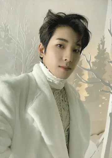 SEVENTEEN WONWOO 사랑의 힘 팝업