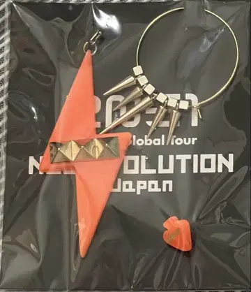 2NE1 NEW EVOLUTION 귀걸이 미개봉 새상품