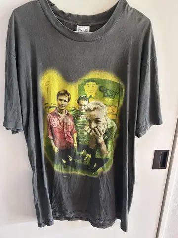 Green Day Insomniac 95 Wild Oats 택